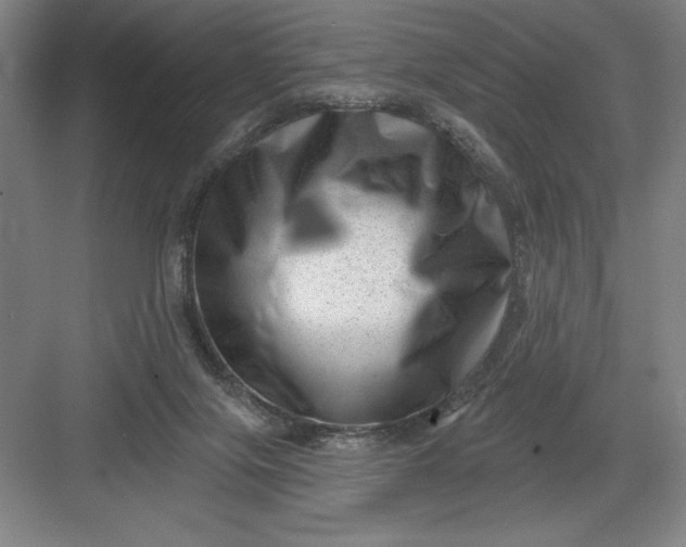 X0000082980071200702160008