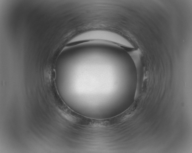 X0000082980072200702160008