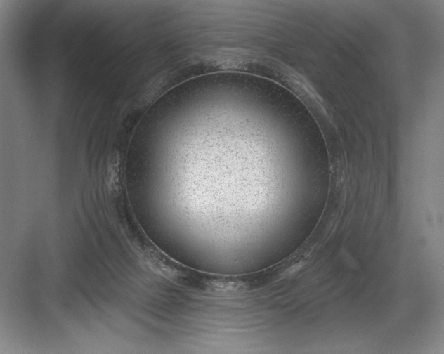 X0000082980073200702160008