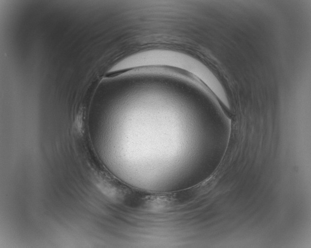 X0000082980074200702160008