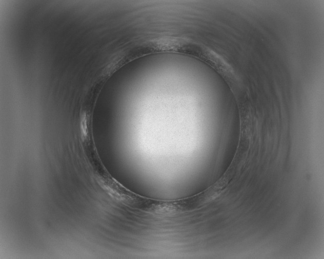 X0000082980075200702160008