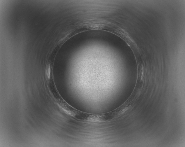 X0000082980076200702160008