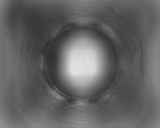 X0000082980077200702160008