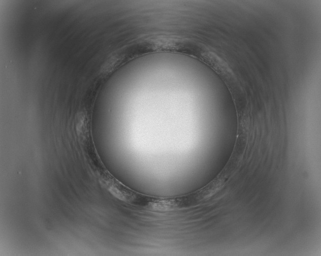 X0000082980079200702160009