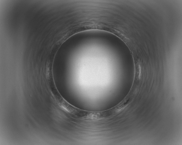 X0000082980080200702160009