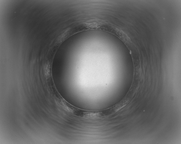 X0000082980081200702160009