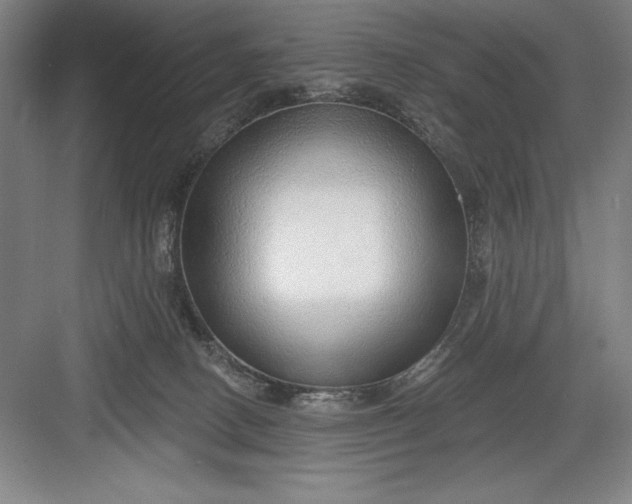 X0000082980082200702160009