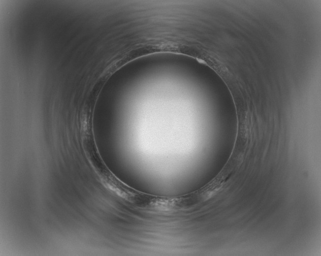 X0000082980084200702160009