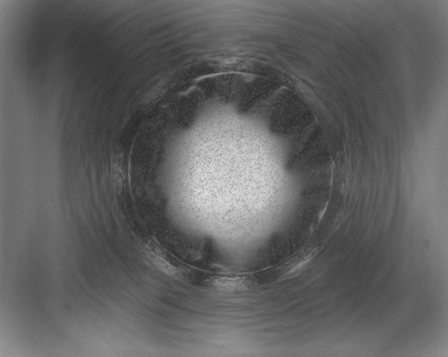 X0000082980085200702160009