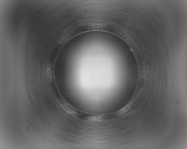 X0000082980086200702160009