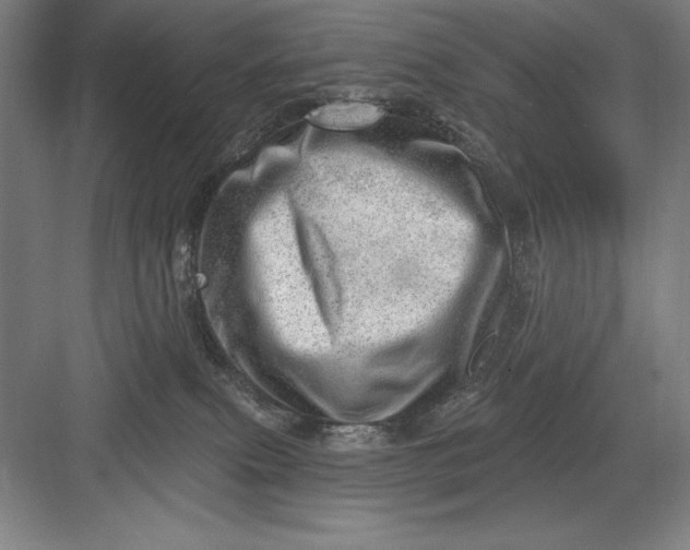 X0000082980087200702160009