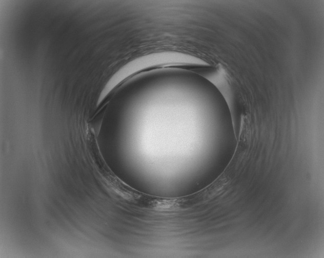 X0000082980088200702160009