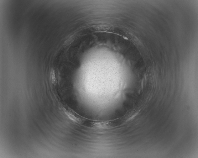 X0000082980089200702160009
