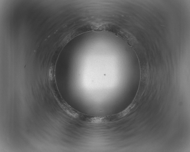 X0000082980090200702160009