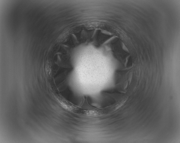 X0000082980091200702160009