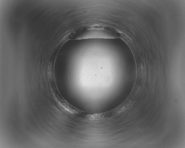 X0000082980092200702160009