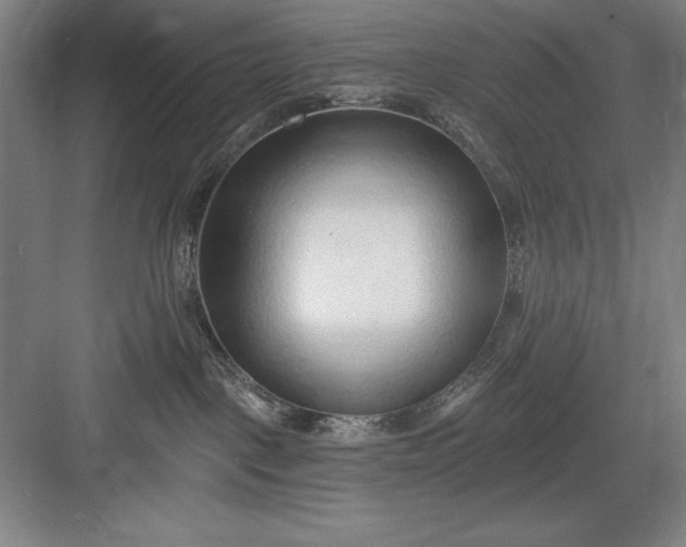 X0000082980093200702160009