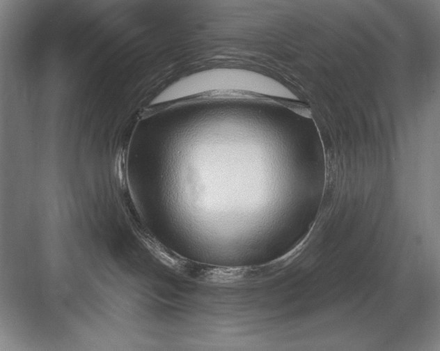 X0000082980094200702160009