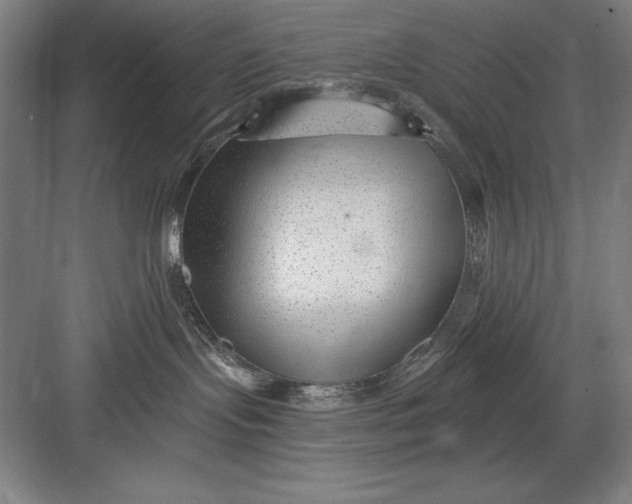 X0000082980095200702160009
