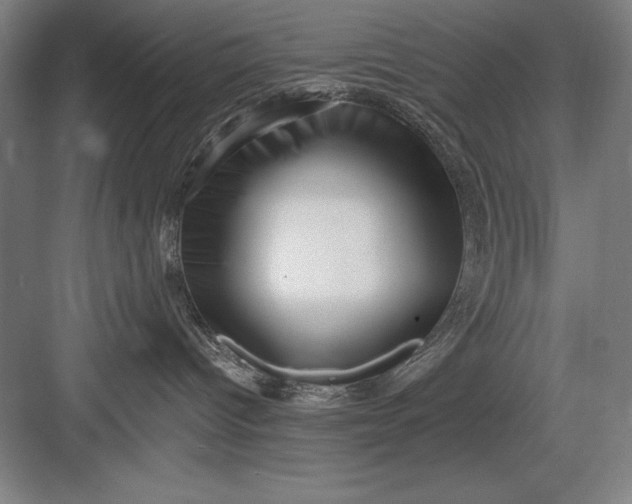 X0000082980096200702160009
