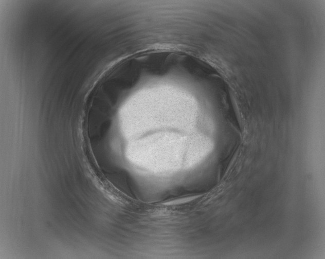X0000082980098200702160008