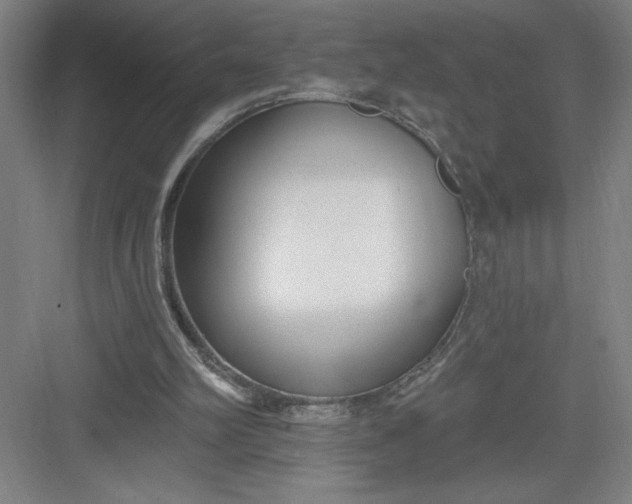 X0000082980102200702160008