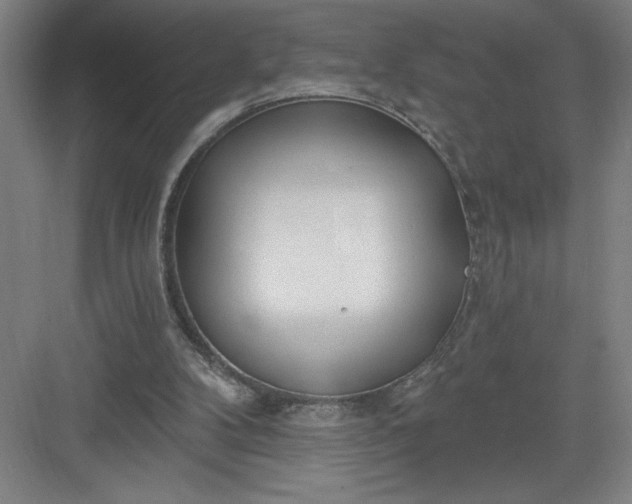 X0000082980104200702160008