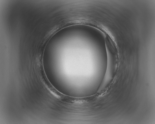 X0000082980105200702160008