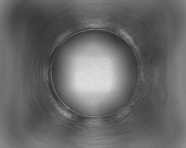 X0000082980106200702160008