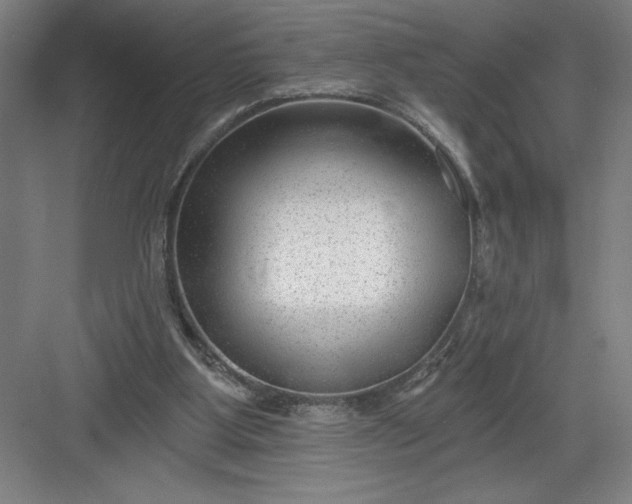 X0000082980107200702160008