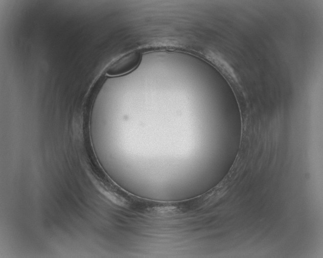 X0000082980108200702160008