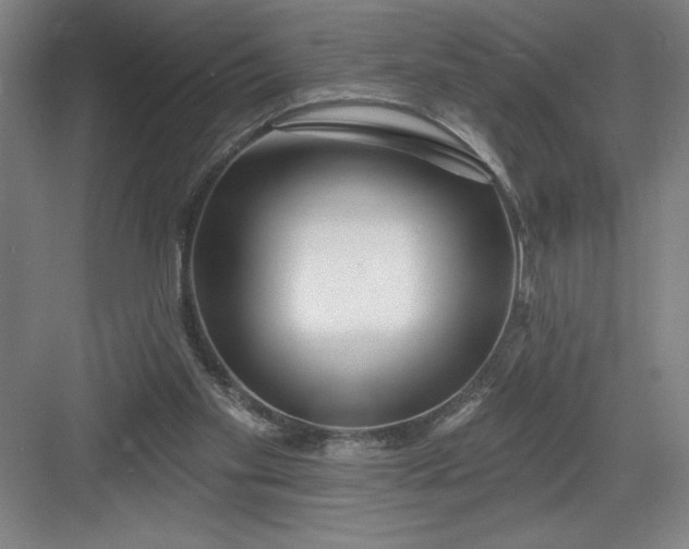 X0000082980109200702160008