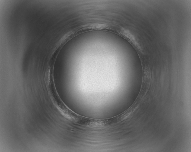 X0000082980110200702160008