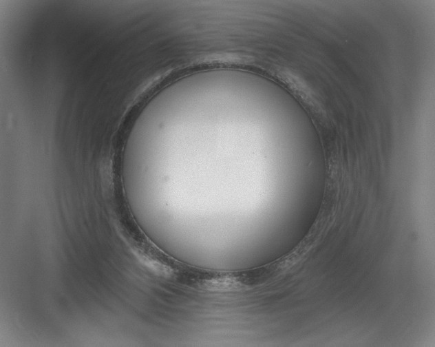 X0000082980112200702160008