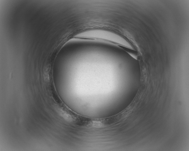 X0000082980114200702160008