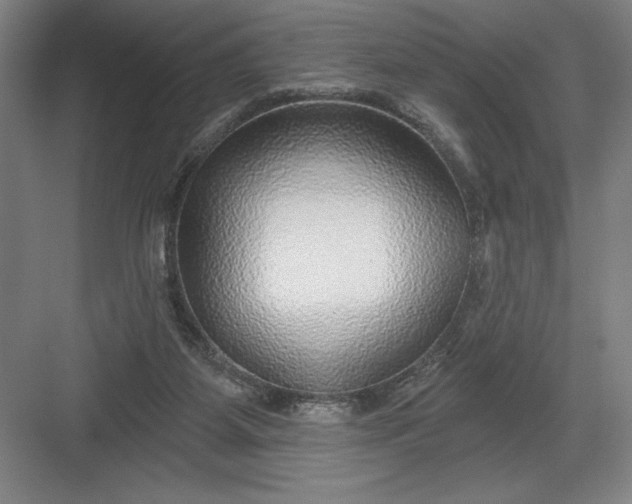 X0000082980115200702160008