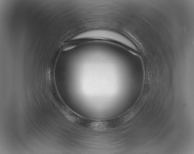 X0000082980117200702160008