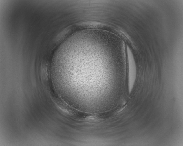 X0000082980119200702160008
