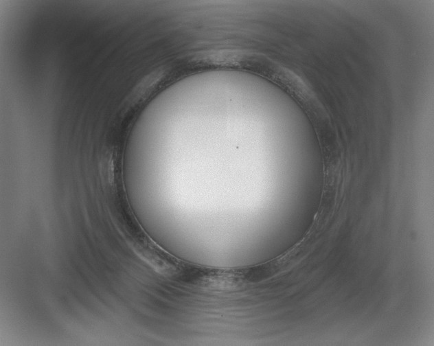 X0000082980120200702160008