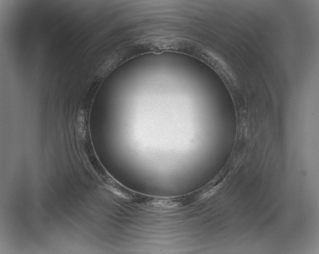 X0000082980121200702160008