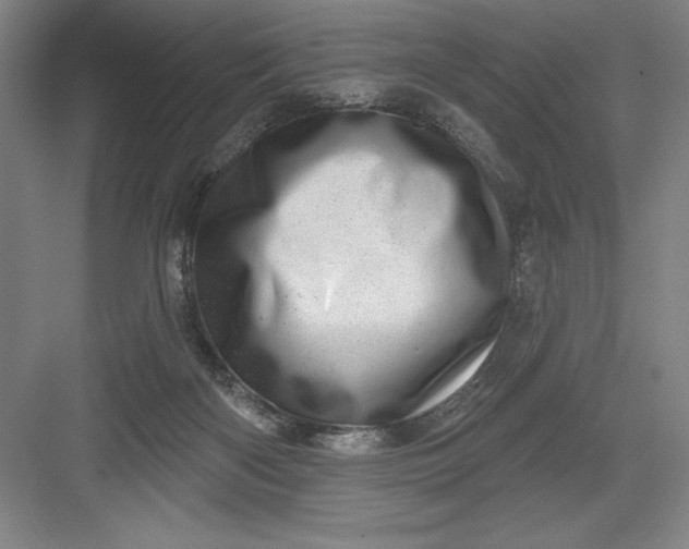 X0000082980122200702160008