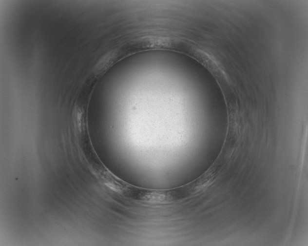 X0000082980123200702160008