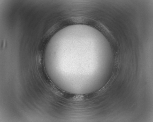 X0000082980124200702160008