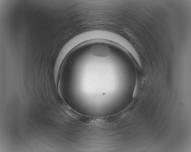 X0000082980125200702160008