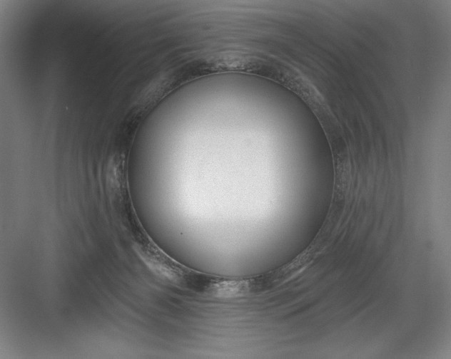 X0000082980126200702160008