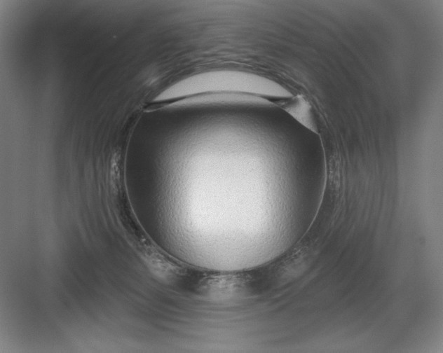 X0000082980127200702160007
