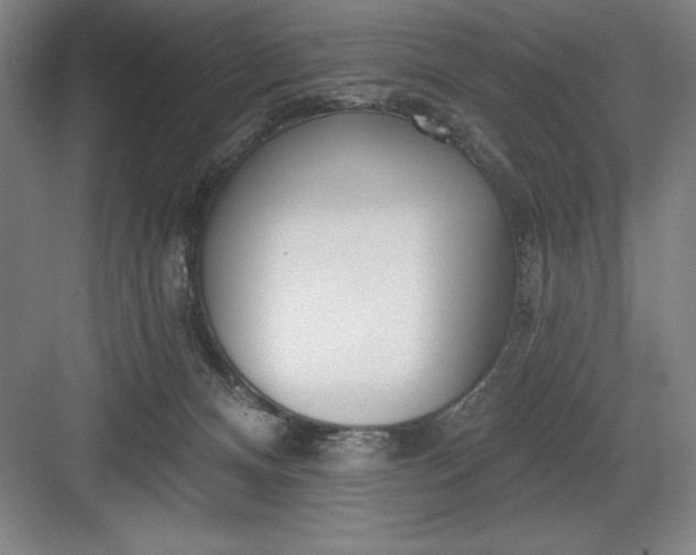 X0000082980128200702160007