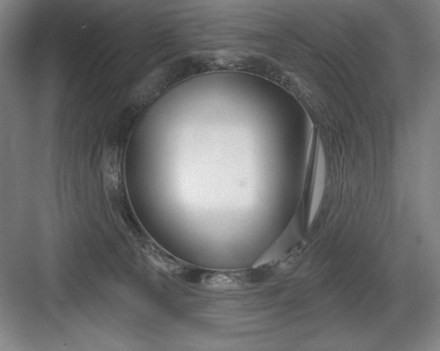 X0000082980129200702160007
