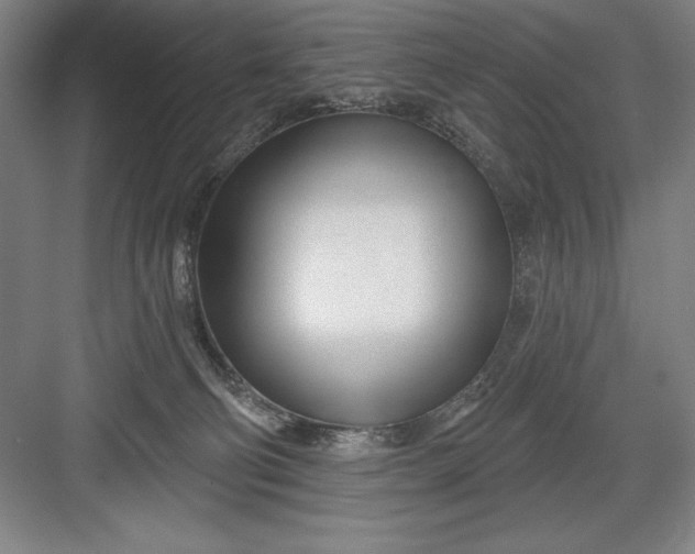 X0000082980130200702160007
