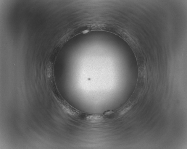 X0000082980133200702160007